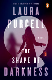 The Shape of Darkness 