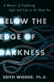 Below the Edge of Darkness 