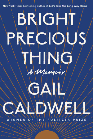 The cover of the book Bright Precious Thing