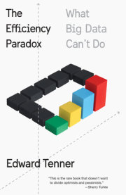 The Efficiency Paradox 