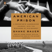 American Prison 