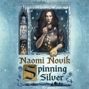 Spinning Silver 