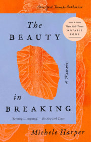 The Beauty in Breaking 