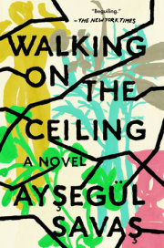 Walking on the Ceiling 