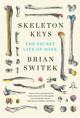 Skeleton Keys by Riley Black (Brian Switek): 9780525539124 |  : Books