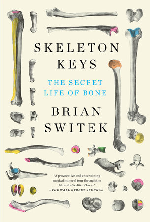 Unlocking the Riddle of Skeleton Key Necklaces