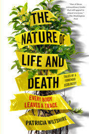 The Nature of Life and Death 