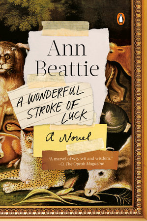 Image result for A Wonderful Stroke of Luck: A Novel