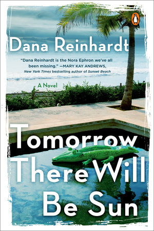 The Summer I Learned to Fly by Dana Reinhardt: 9780385739559