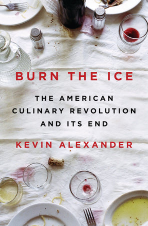 Burn the Ice by Kevin Alexander