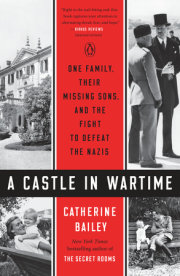 A Castle in Wartime 