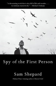 Spy of the First Person 