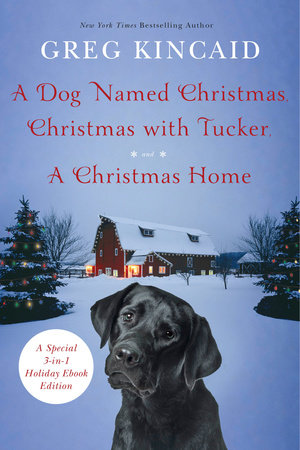 Christmas with Tucker (A Dog Named Christmas): Kincaid, Greg:  9780307589637: : Books