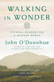 Walking in Wonder 