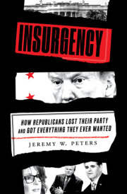 Insurgency 