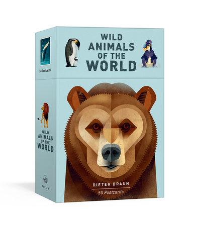Wild Animals of the World: 50 Postcards by Dieter Braun: 9780525577058 |  : Books