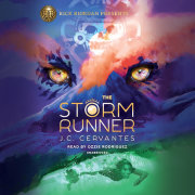 The Storm Runner 