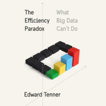 The Efficiency Paradox Cover