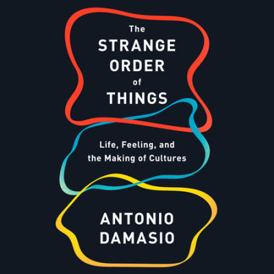 The Strange Order of Things cover