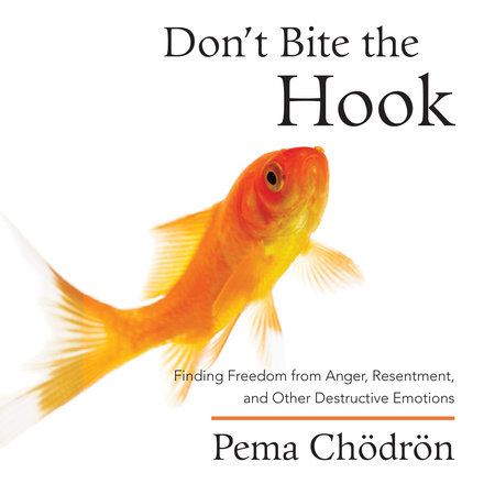Don't Bite the Hook by Pema Chödrön 