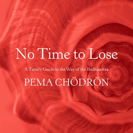 No Time to Lose by Pema Chödrön