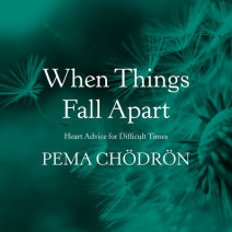 When Things Fall Apart Cover