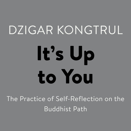 It's Up to You by Dzigar Kongtrul