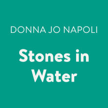 Stones in Water Cover