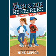 The Missing Baseball 
