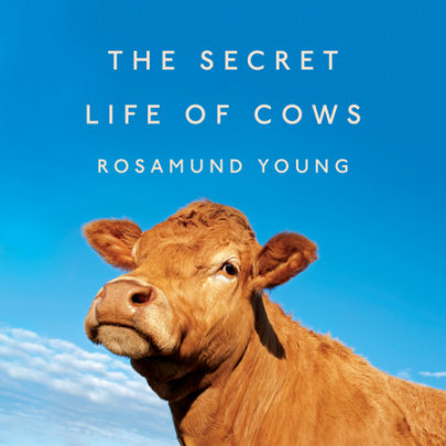 The Secret Life of Cows Cover