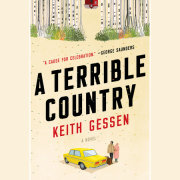 A Terrible Country 
