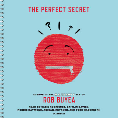 The Perfect Secret Cover