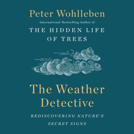 The Weather Detective by Peter Wohlleben