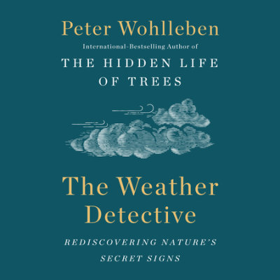 The Weather Detective cover