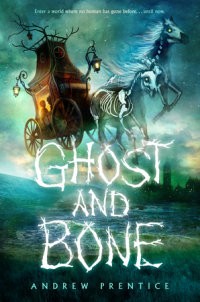 Book cover for Ghost and Bone