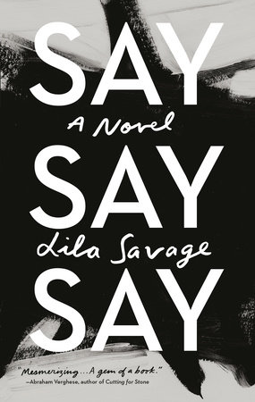 Image result for Say Say Say: A Novel