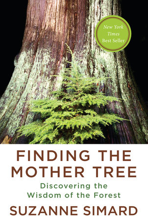Finding the Mother Tree cover (Knopf hardcover), by Suzanne Simard