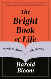 The Bright Book of Life 