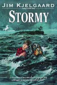 Book cover for Stormy