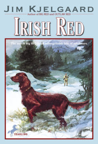 Book cover for Irish Red