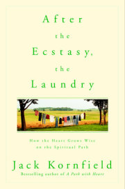 After the Ecstasy, the Laundry 