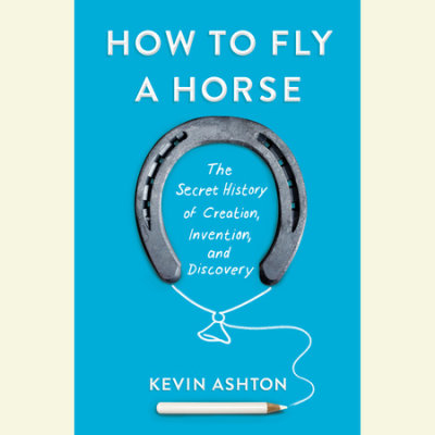 How to Fly a Horse cover