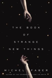 THE BOOK OF STRANGE NEW THINGS by Michel Faber
