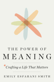 THE POWER OF MEANING by Emily Esfahani Smith