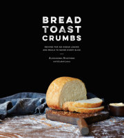 Bread Toast Crumbs 