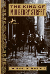 Book cover for The King of Mulberry Street