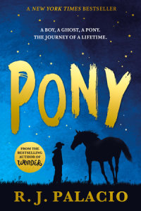 Book cover for Pony