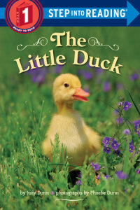 Cover of The Little Duck