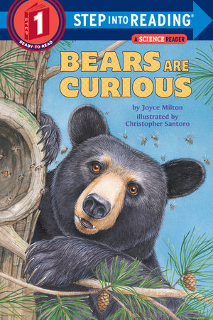 Bears Are Curious by Joyce Milton 9780553533996 PenguinRandomHouse Books