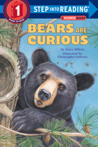 Book cover for Bears Are Curious